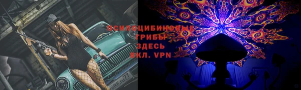 наркотики Бородино