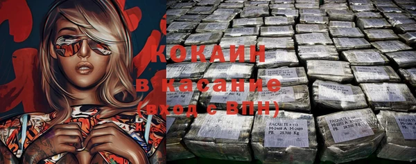 прущие грибы Бикин