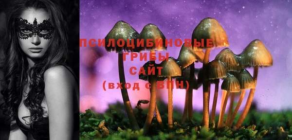 наркотики Бородино