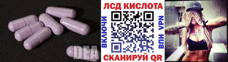 блэк спрут онион  Верхотурье  Лсд 25 экстази кислота 